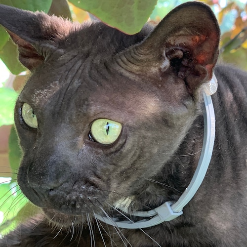 we need to fight to get the truth out. Trump won and we all know it.