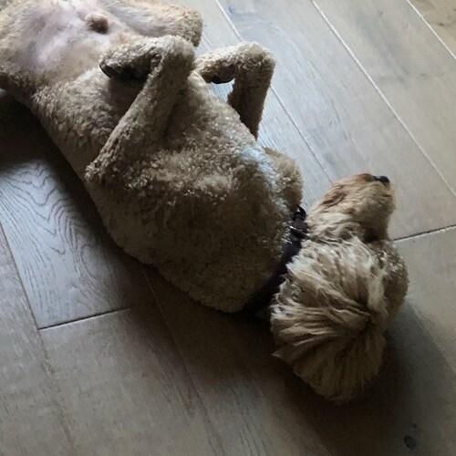 what ever happened to common sense?