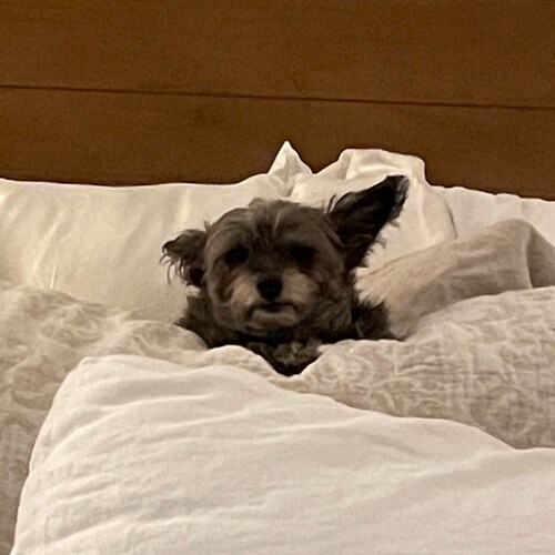 Jersey Girl living in the FREE State of Florida