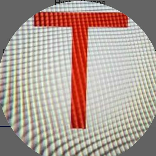 Still wearing the Scarlet T. Trump won. Some people did something to our election.
Be Stong and of a Good Courage
We are free.
Truth Social: @Hyster_Prynne