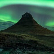 Husbad, father, reactionary