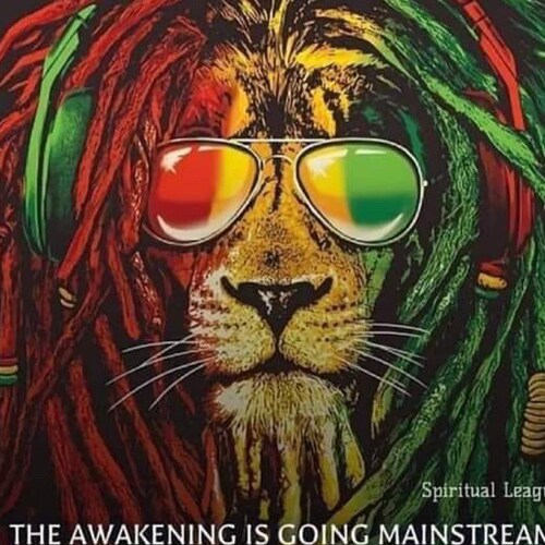 Proud Waussie 🏴󠁧󠁢󠁷󠁬󠁳󠁿🇦🇺 “Listen to your Soul , it’s tired of the Bullshit”
.... Twitter @Taf1969