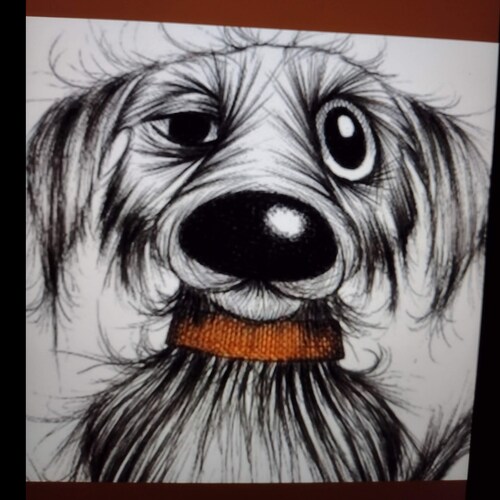 Living in the moment! Air Force Veteran and proud Trump supporter.