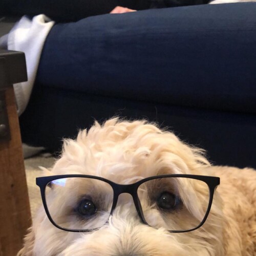 I believe in the soul, the cock, the pussy, the small of a woman’s back,  good scotch, the sweet spot, and long, slow, d...