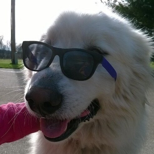 Christian Conservative.  God, Country, Family.  Married 31 yrs. Trump #MAGA. Supporter of our military, 1st responders. ...