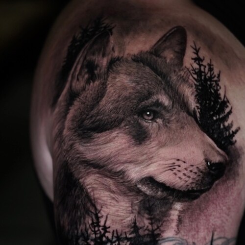 Regular, hard working guy that wants his kids to grow up in a free America.