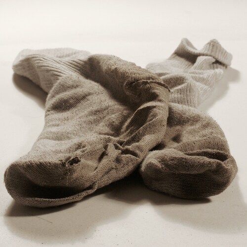 everyone needs socks