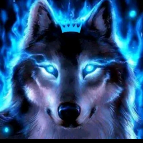 18
Autistic, ADHD
Pro life
🇺🇲Trump 2024🇺🇲