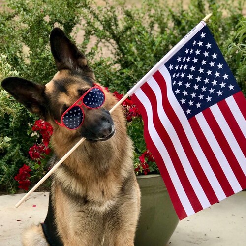 "We will stand by the right, we will stand by
the true, we will live, we will die for the red,
white, and blue."-Unknown...