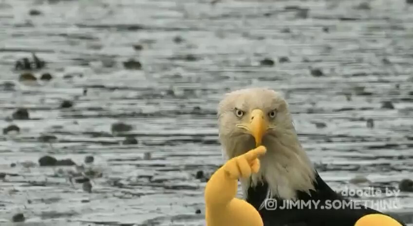 Who did this? 🤣🤣🤣💨👊🏻
🍊🇺🇸