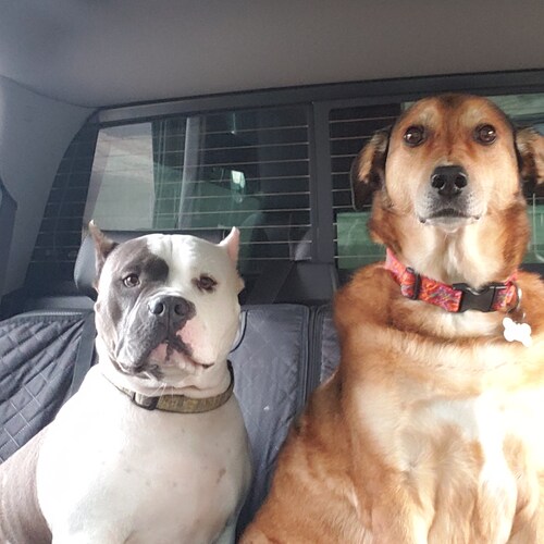 retired firefighter paramedic  from sick seattle