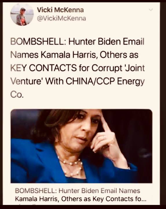 Breaking 

DOCUMENTS IN HUNTERS BIDEN LAPTOP SHOW LARGE MONEY TRANSFERS TO NONE OTHER THE HARRIS SEN...