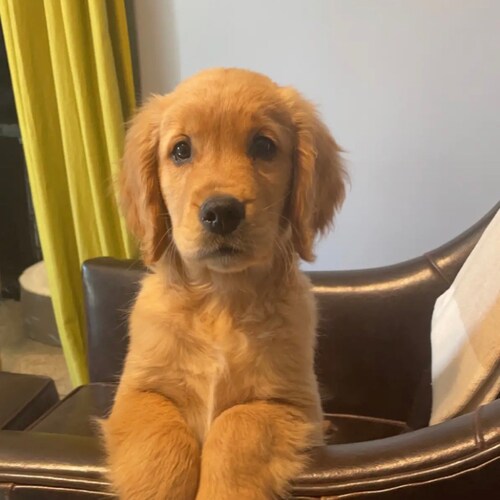 Visit commonsense923 🍊's profile on GETTR. View their posts, photos, videos, and connect with them on the social platform.