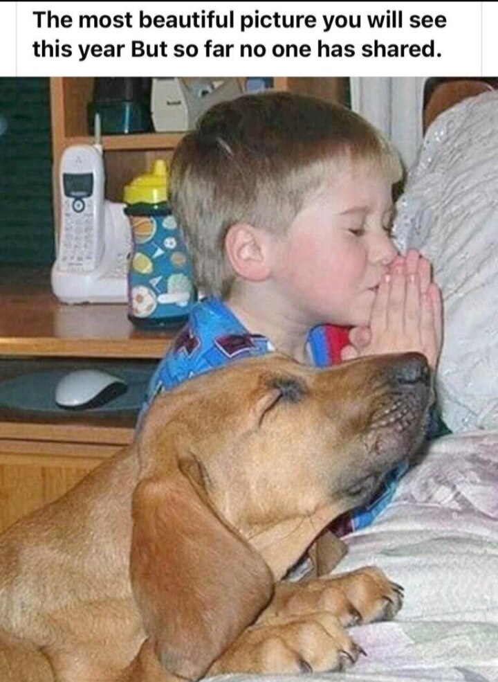 View RLWOLF9999 🇺🇸🧂😎⚡🥃's post on GETTR. Join the discussion, share your thoughts, and connect with the community.