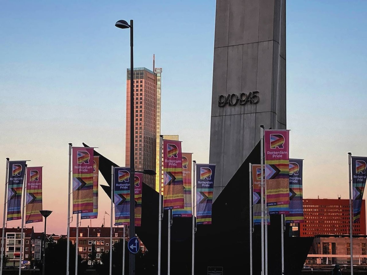 WW2 monument in Rotterdam, bedecked in Pride flags. Shameful.