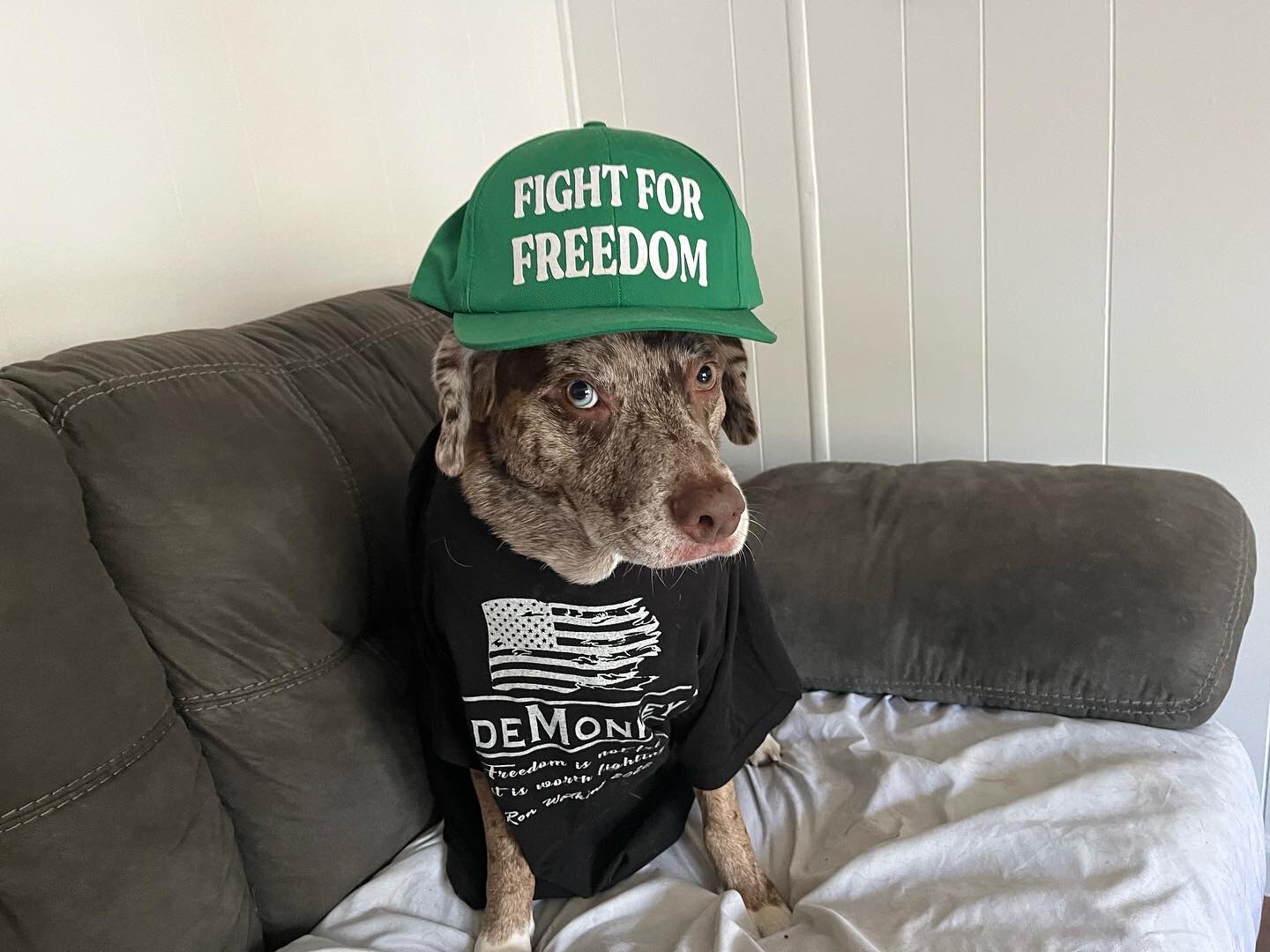 Tucky said get out and vote!! If you are in Arizona CD2 Vote for Ron Watkins for congress!!!!!!  #RonWatkinsForCongress 
#Vote #Arizona #CodeMonkeyZ