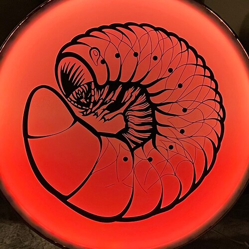 artist/musician/freethinker