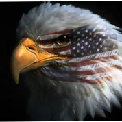 TRUMP WON. AMERICA FIRST:::::I stand for the FLAG. 🇺🇸  #WWG1WGA; The Fake News just don't get it.🍊