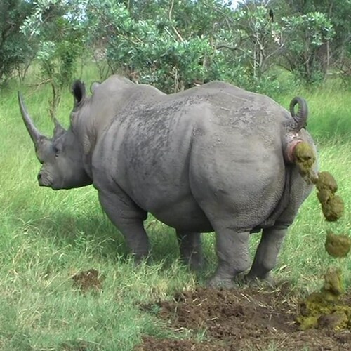 I'm not here to tell people what they want to hear. Your defense of complacency, and excuses for cowards and traitors wi...