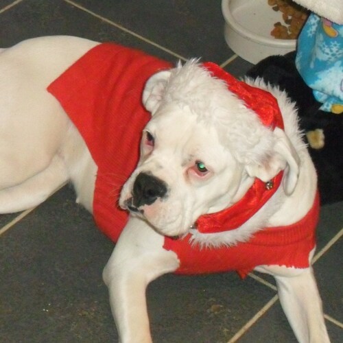 Freedom for ever as our Faith in the Lord will set us free.