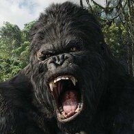 Fake News Terrorism Survivor. #LetsGoBrandon #TrumpWon
Pureblood USA Patriot  ▄︻┻┳═ – 

“Fear is a reaction. Courage ...