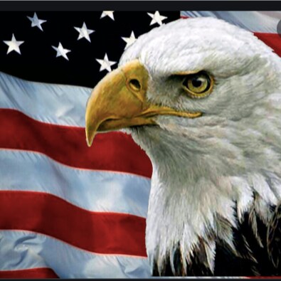 Conservative Patriot working to save America. Donald Trump is still my president.