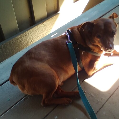 STRAIGHT FROM THE START, DON'T GET ME TWISTED I AM AN ASSHOLE MY 💩💩 DOESN'T SMELL LIKE 🥀🌹🥀🌹🥀🌹