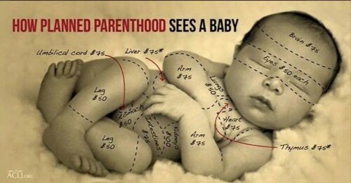 👼✨UNITE FOR FREEDOM👼✨
👼✨
#belannftrains #DT47
👼✨
@020954 
@armyvwteran73 
@BitingNews 
@deaner1 
@dpcollins 
@gblacks54 
@gissnankim 
@grobb 
@HeatherJones333 
@johnmilligan 
@king73aj 
@KJ_1985 
@locknut 
@MagaNation1 
@MemeTooMovement 
@MyBigFatPatriot 
@rf4356 
@RunOverANTIFA 
@SJCotta 
@Spontaneouso2 
@SpringHarbinger 
@tomdonaldson 
👼✨
 @Sheerglee  @Pixee @Pecan @LakemonsterCL @Brneydgrl  @AgentSquirrel @AmzGrce @BelannF @Blondies @GreyLady  @JamesPidd @Fatima_Italia @KeysLiisa @L0ve45 @Lakemonstercl @LaReginaNYFL @luvSB @MaysPatriot @mazurik @Mickelodoole @Monica_Sassy2 @Moon52 @Mr_Potato_Head @MsTigress @Murch44 @NannyMcTrump @NevadaElJefe @nomandatesco @oksanatrump @Pecan @peppertrumper @Speedy13 @irene64 @USMC3 @Legacy411 @Debwjones1956 @Jamierodr14