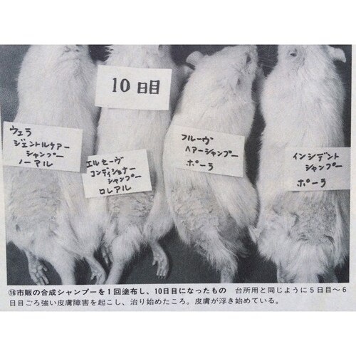 せっけんと経皮毒
　
経皮毒はシャンプー、リンス、せっけん、化粧品、ハンドクリーム、ナプキン、服などあらゆるものに使用されており、その危険性は隠されています。
人間が物質を体内に取り込む経路は3つあり...