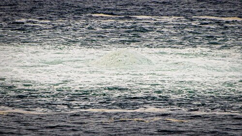 Things are getting more and more interesting, what are they hiding?👇
JUST IN - Sweden blocks joint ...