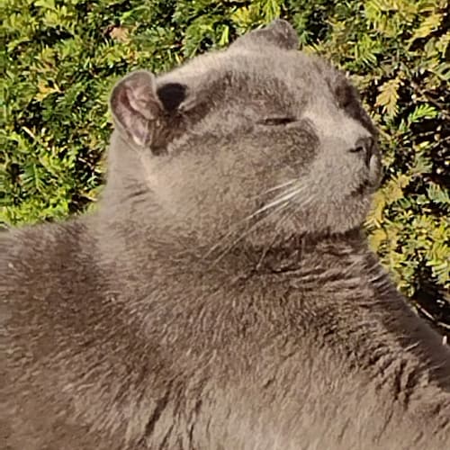 ......§π§.....time for a change.....§π§.....we got this.....§π§....our country is not for sale.....§π§....GEN X EXEC.......