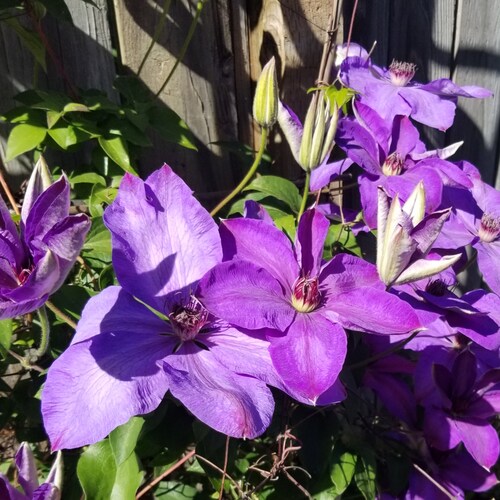 Rare conservative in Seattle