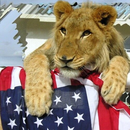 God Bless Texas #FreedomOfSpeech Make Liberals Cry  #AmericaFirst #TrumpWon