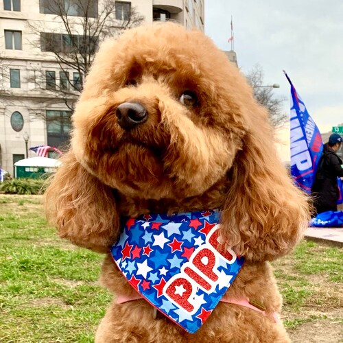 An American and Proud of it!