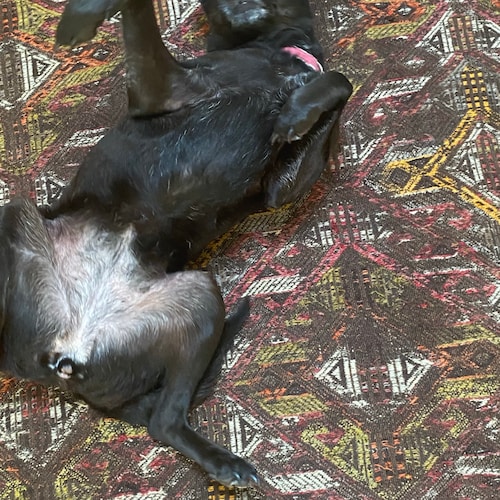 “If ye love wealth better than liberty, the tranquility of servitude than the animating contest of freedom—go from us in...