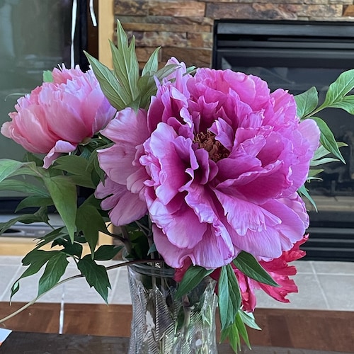 Christian，
New Federal State of China
 Take Down The CCP

GNEWS：https://gnews.org/