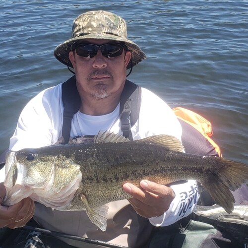 I'm a Chicano with Yaqui blood running through me, I'm an ex demoncrap by doing my own research