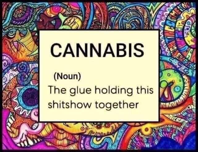 Stay away from harmful opioids, cannabis works better than your ambien. #cannabisadvocatesfortrump 