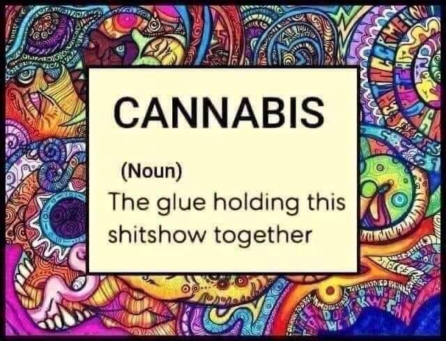 Stay away from harmful opioids, cannabis works better than your ambien. #cannabisadvocatesfortrump