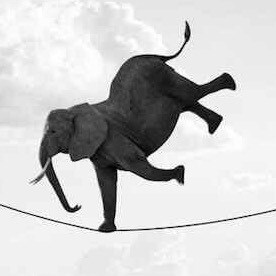 Visit GuyMark29🍊's profile on GETTR. View their posts, photos, videos, and connect with them on the social platform.