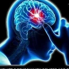 Mother of 2 hansome boys,and 2 greyhound Girls.