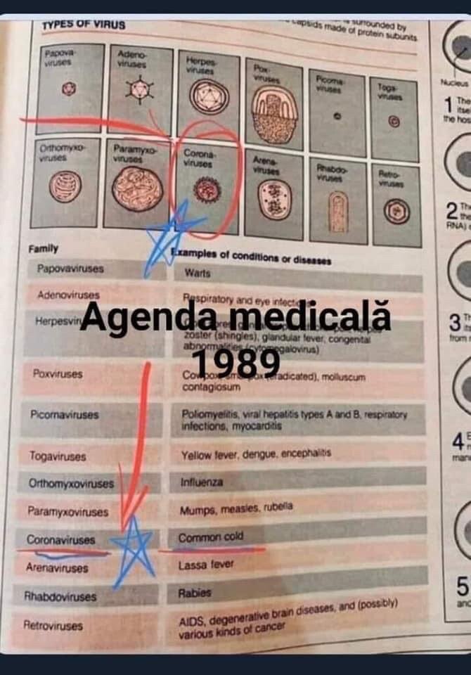 "En 1989, on savait que les virus de la famille "guvizi" étaient la cause de la grippe commune.
Aujo...