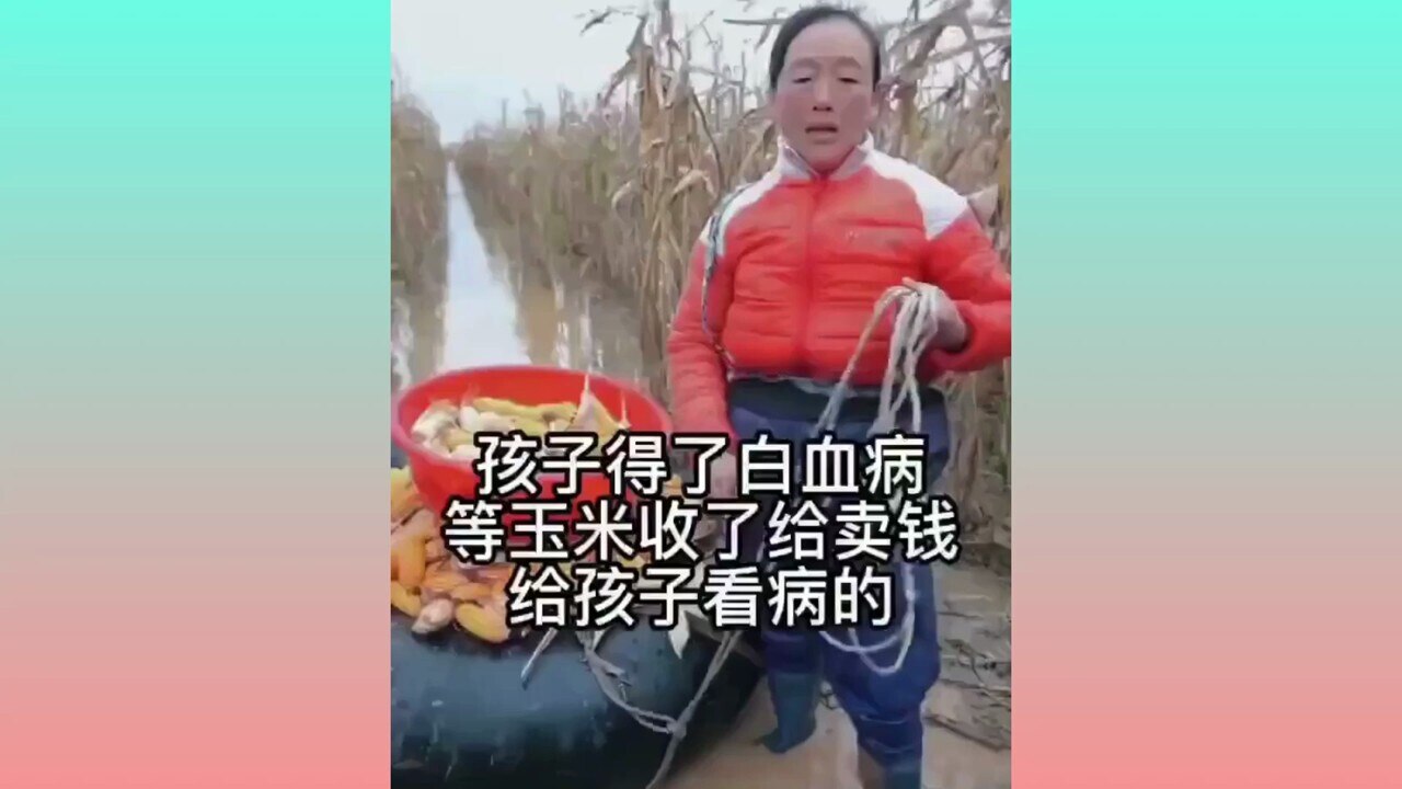 #中共國 

河南一農民的孩子得了白血病，家裡又遭受了水災，農田被淹，這位母親在被淹農田裡收玉米，賣了才能給孩子看病，這就是中共國底層的現實生活。

#土共不亡百姓亡