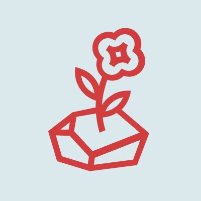 Better the hard truth than a reassuring lie