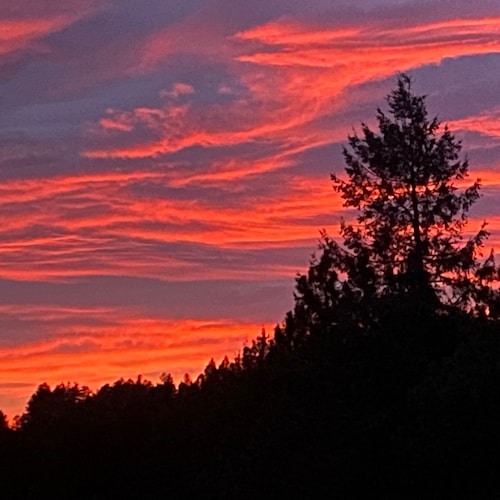 Romans 10:9-10
”If you openly declare that Jesus is Lord and BELIEVE in your heart that God raised him from the dead, yo...