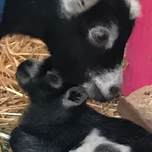 Texan first. Proud American of British, Irish, French,Italian, American Indian & African heritage. Remember when the “me...