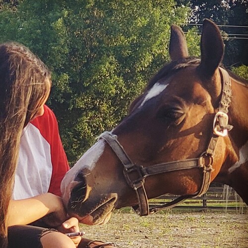 Florida Native, Farm Owner, Free Thinker, Classic Liberal. Typos are mine.

#TeamReality