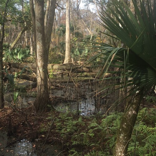 Free speech proponent. Think for yourself.