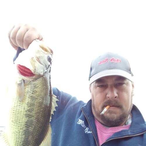 Just a redneck deplorable trying to make it in this world. Looking for a good warm state to move too !!