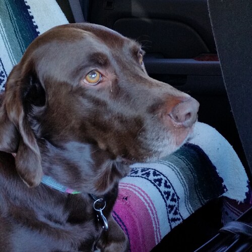 Pray without ceasing.